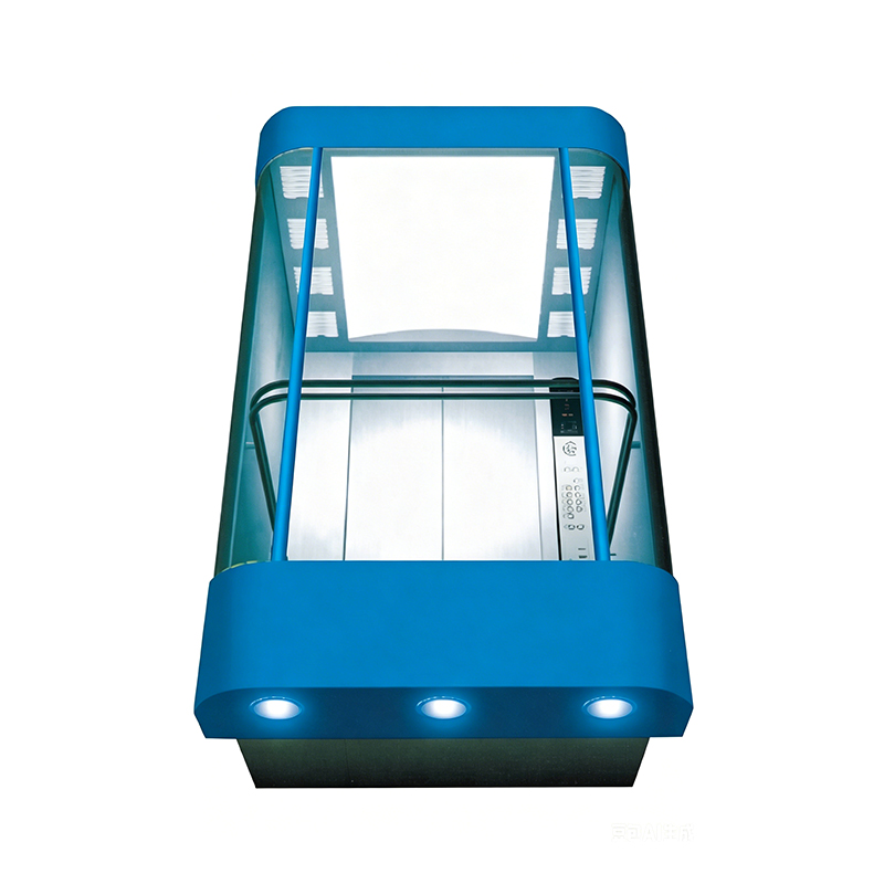 Observatio picta Steel Panoramic Elevator Hairline Steel Interior