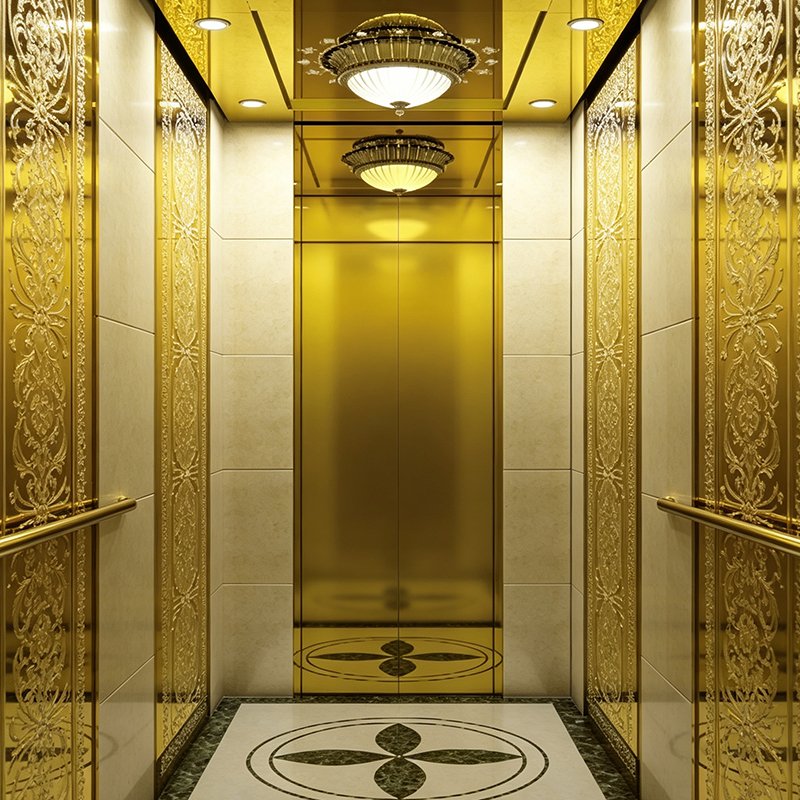 Titanium Speculum Mundi Luxuria Domus Lift