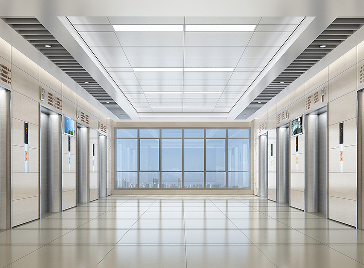Hospitalis elevatoris